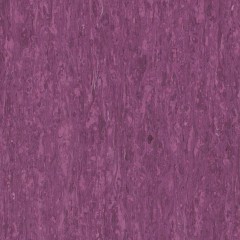 IQ Optima Purple 0255